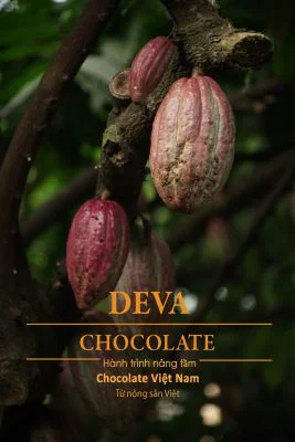 Deva Chocolate Hanh Trinh Nang Tam Chocolate Viet Nam Scaled