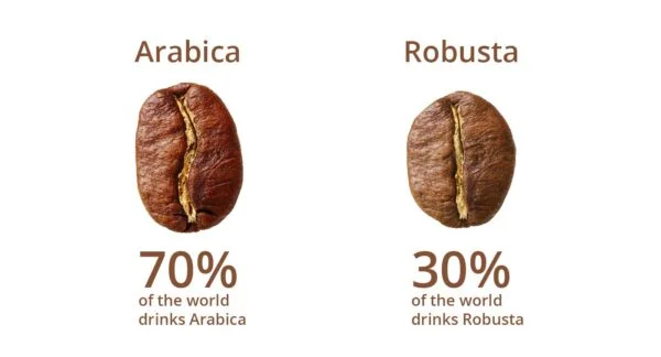 Cafe Robusta Cafe Arabica