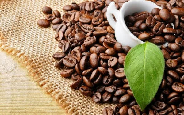Hạt Cà Phê Có Mấy Loại