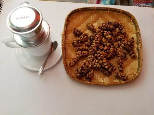 Cà Phê Chồn Vì Sao Đắt, Có Nên Sử Dụng Hay Không 14