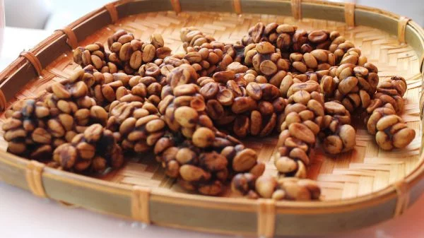 Cà Phê Chồn Vì Sao Đắt, Có Nên Sử Dụng Hay Không 10
