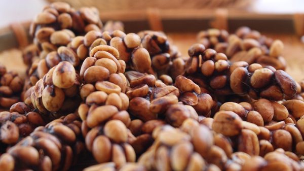cà phê chồn vì sao đắt, có nên sử dụng hay không 13