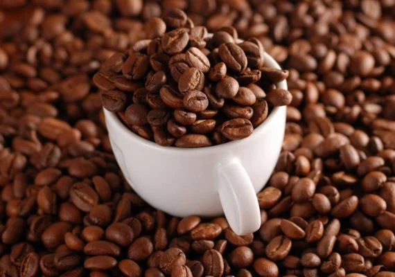 Cafe Rang Mộc Là Gì? Cách Nhận Biết 17 Cafe Rang Mộc Là Gì? Cafe Hạt Rang Mộc Là Gì?