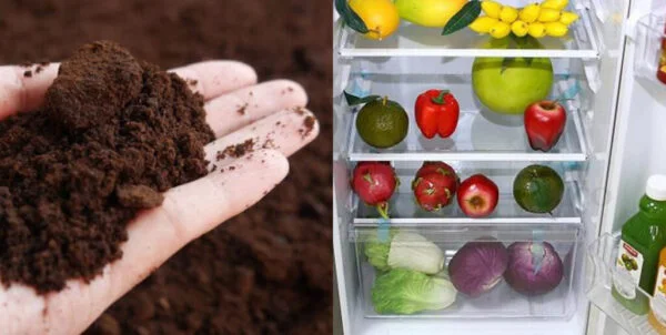 Công Dụng Của Bã Cà Phê