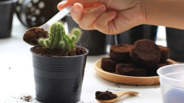 Mẹo Tận Dụng Bã Cafe Của Ng Nhật