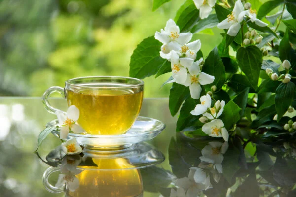 Cách Ướp Trà Hoa Nhài Chuẩn Vị Đơn Giản Tại Nhà 14 Ướp Trà Hoa Nhài