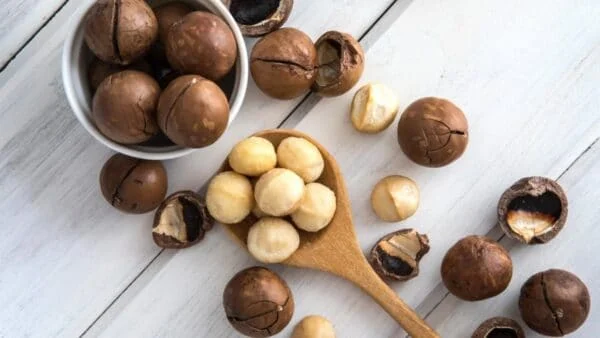 Cách Bảo Quản Hạt Macca