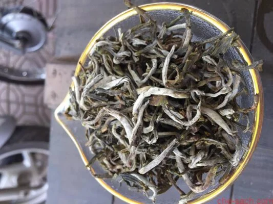 chè shan tuyết khác gì so với những loại trà mạn khác?