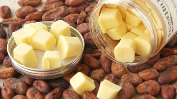 Làm Đẹp Với Bơ Cacao Chị Em Đã Thử Chưa?