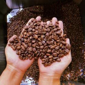 Ca Phe Robusta 3