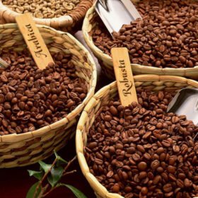 Ca Phe Blend Hướng Dẫn Cách Bảo Quản Cà Phê Rang Xay Đúng Cách