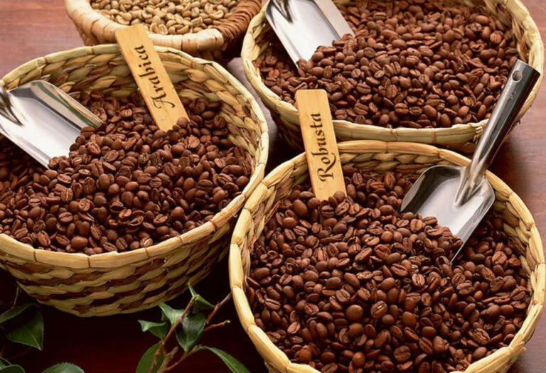 Ca Phe Blend Hướng Dẫn Cách Bảo Quản Cà Phê Rang Xay Đúng Cách