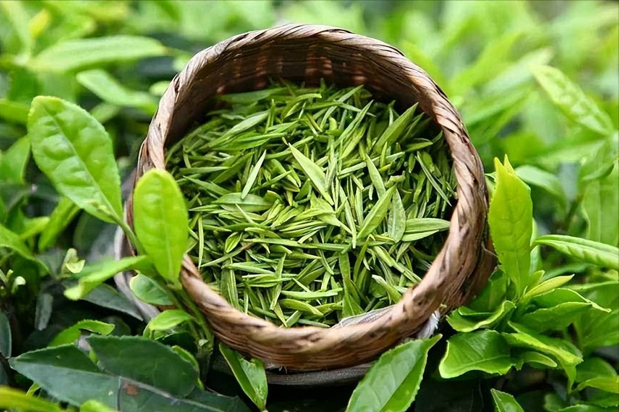 Tra dinh tan cuong