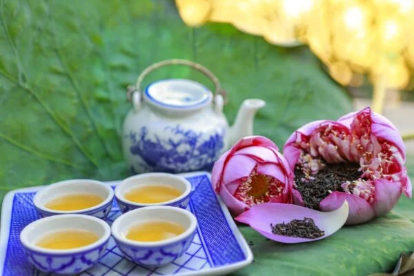 Cà Phê Và Trà: Cái Nào Tốt Cho Sức Khỏe Hơn? 11 Uống Cà Phê Và Trà Tốt Cho Sức Khỏe
