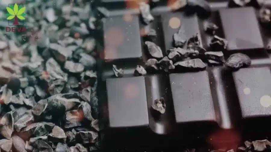 Chocolate Deva Luôn Hướng Đến Từ Những Nguyên Liệu Thiên Nhiên.