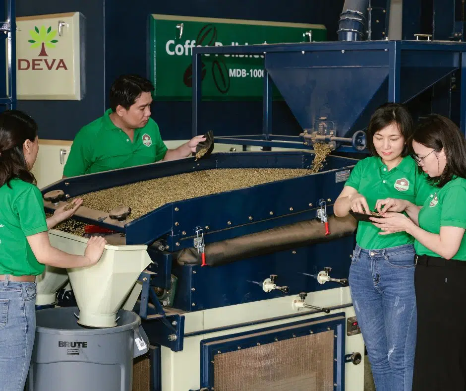 Xưởng Gia Công Cà Phê Deva | Dịch Vụ Rang Xay - Đóng Gói Chuyên Nghiệp | Oem Uy Tín 8 xưởng gia công cà phê deva quy trình gia công 7 bước tại deva